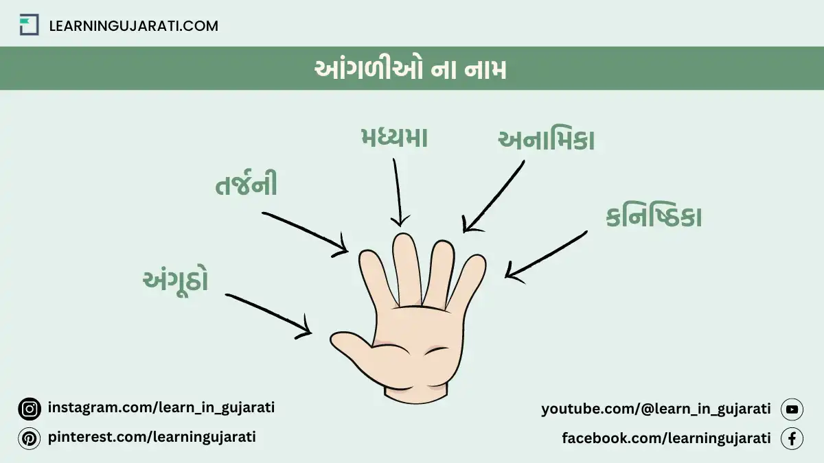 5 fingers name in gujarati language