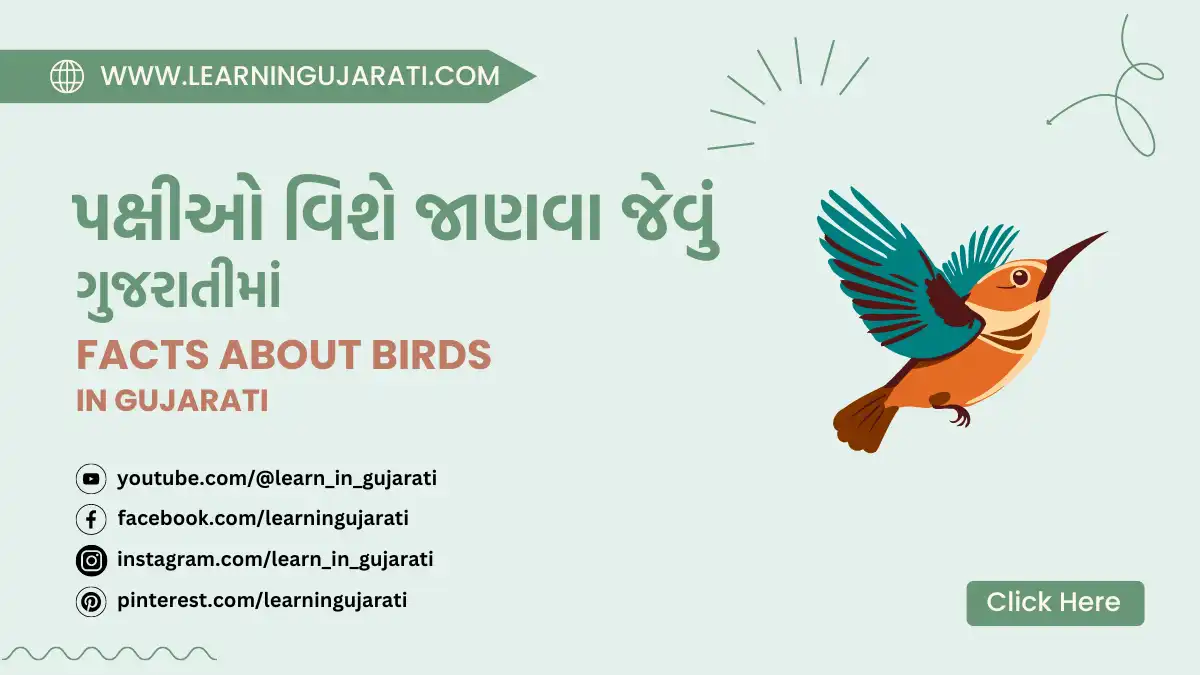 birds facts in gujarati- પક્ષીઓ વિશે જાણવા જેવું