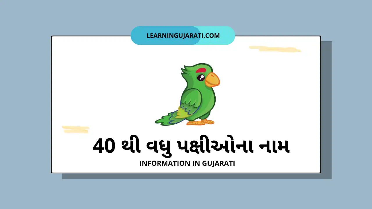 birds name in gujarati and english list