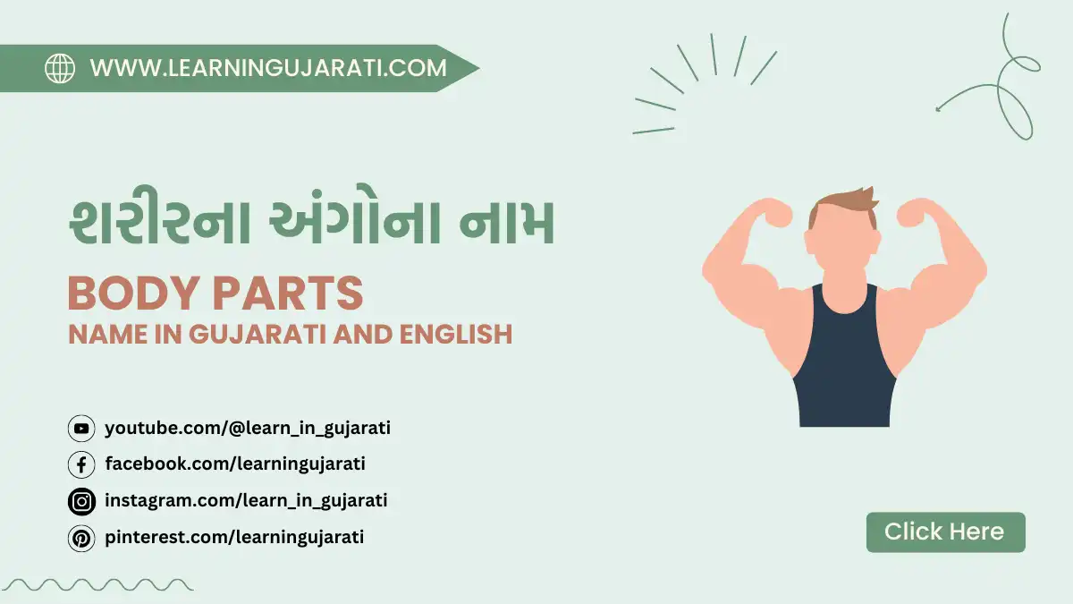 body parts name in gujarati and english