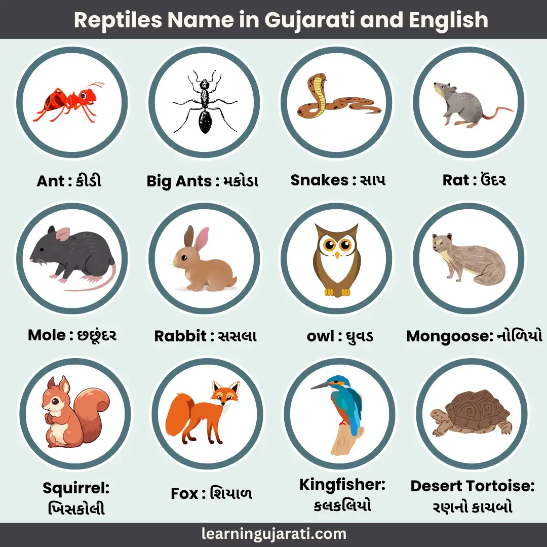 burrowing animals name in gujarati and english with pictures