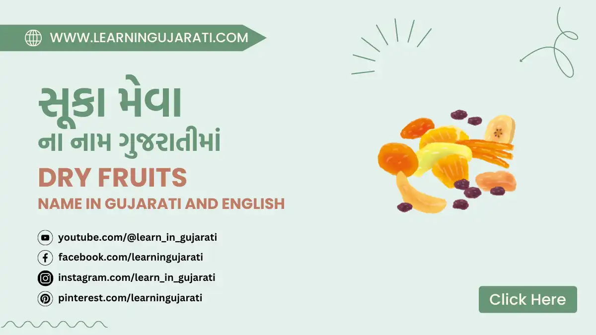 dry fruits name in gujarati and english