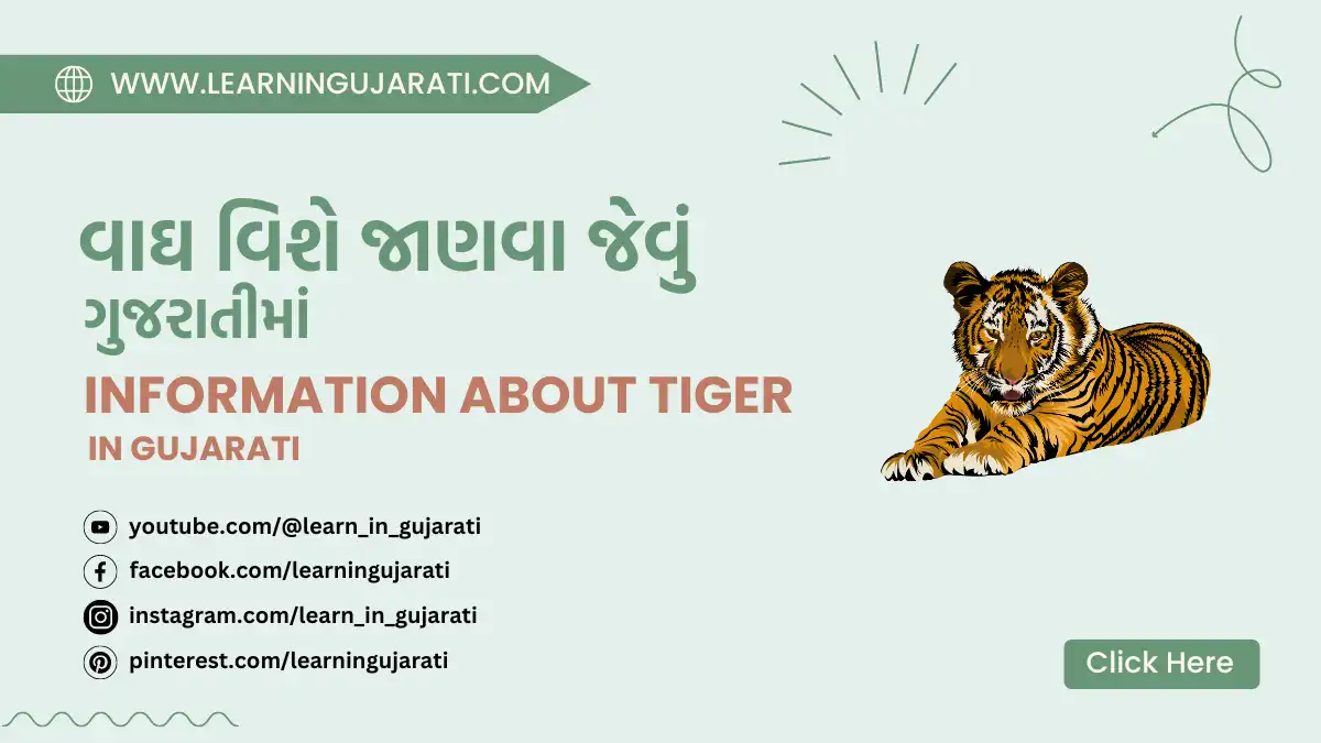 facts and useful information about tiger in gujarati