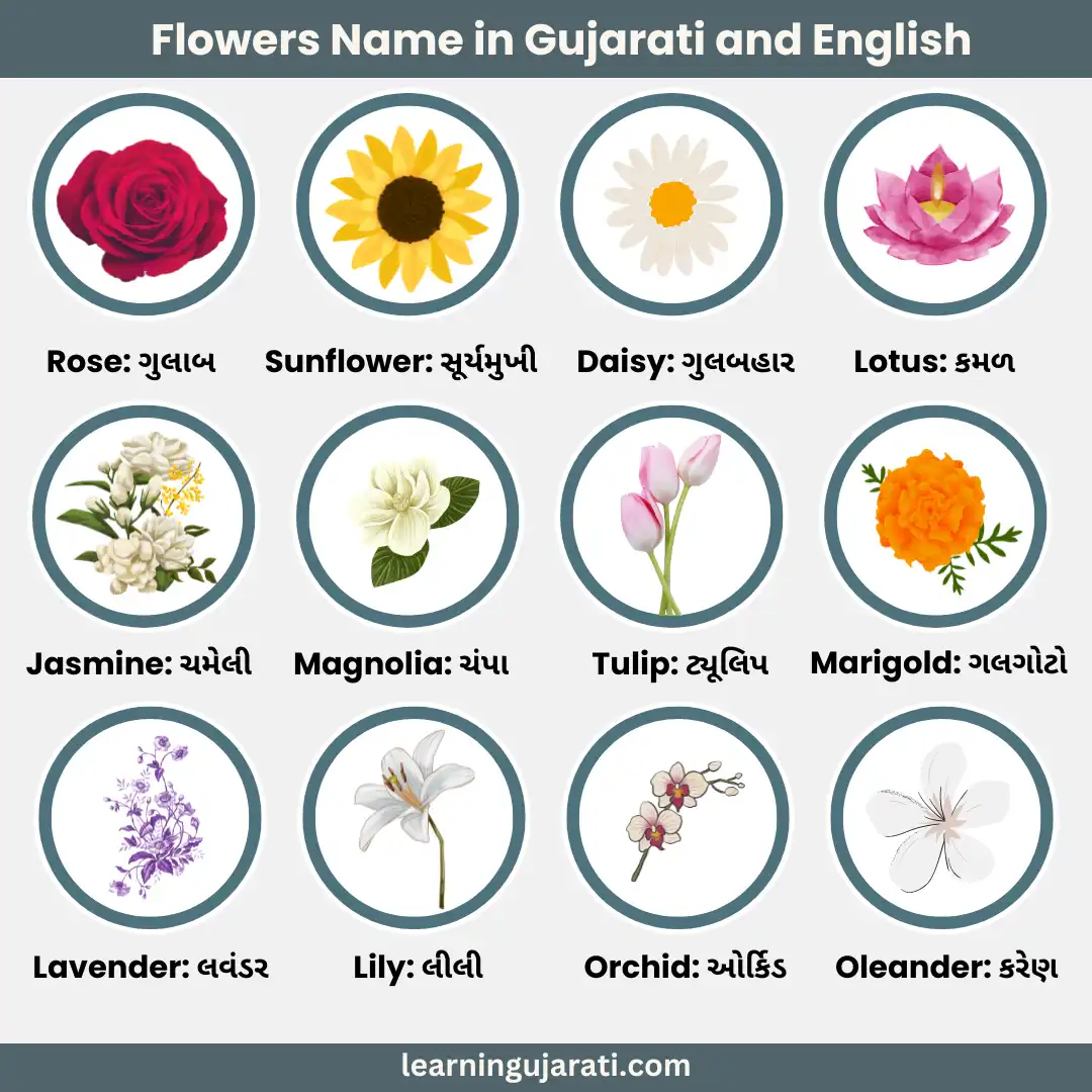 flowers name in gujarati and english with pictures