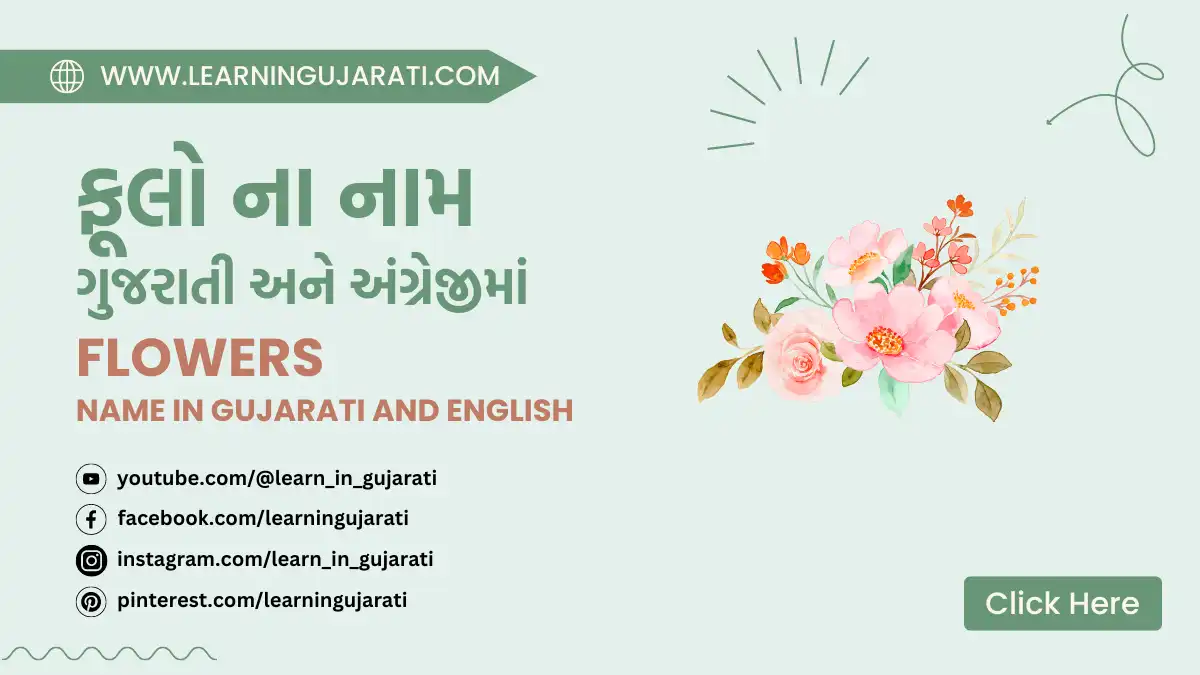 flowers name in gujarati and english