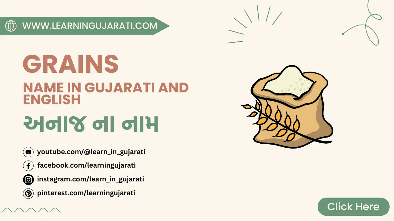 grains name in gujarati and english