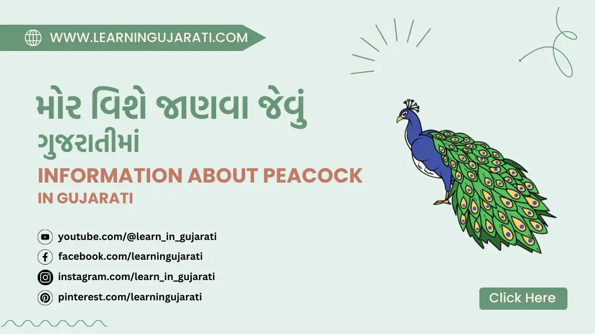 information about peacock in gujarati