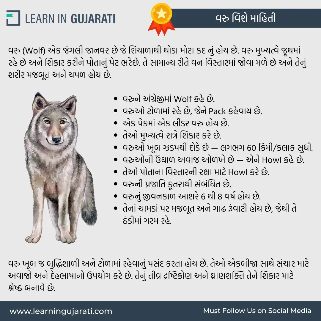 information about wolf in gujarati- વરુ વિશે માહિતી