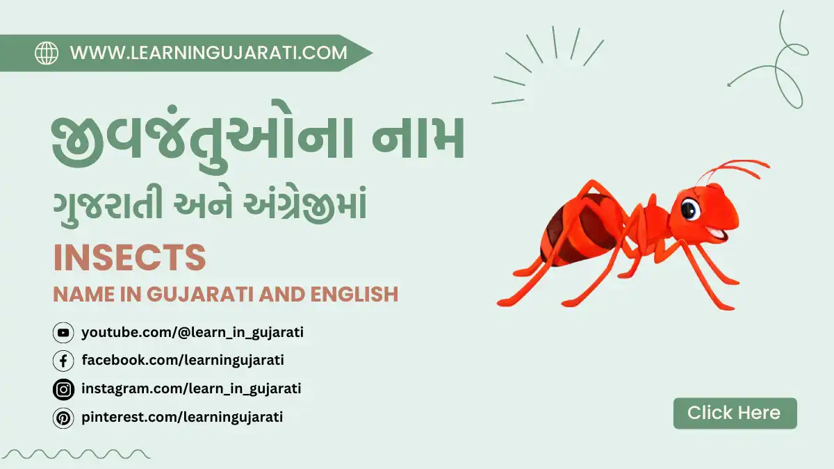insects name in gujarati and english