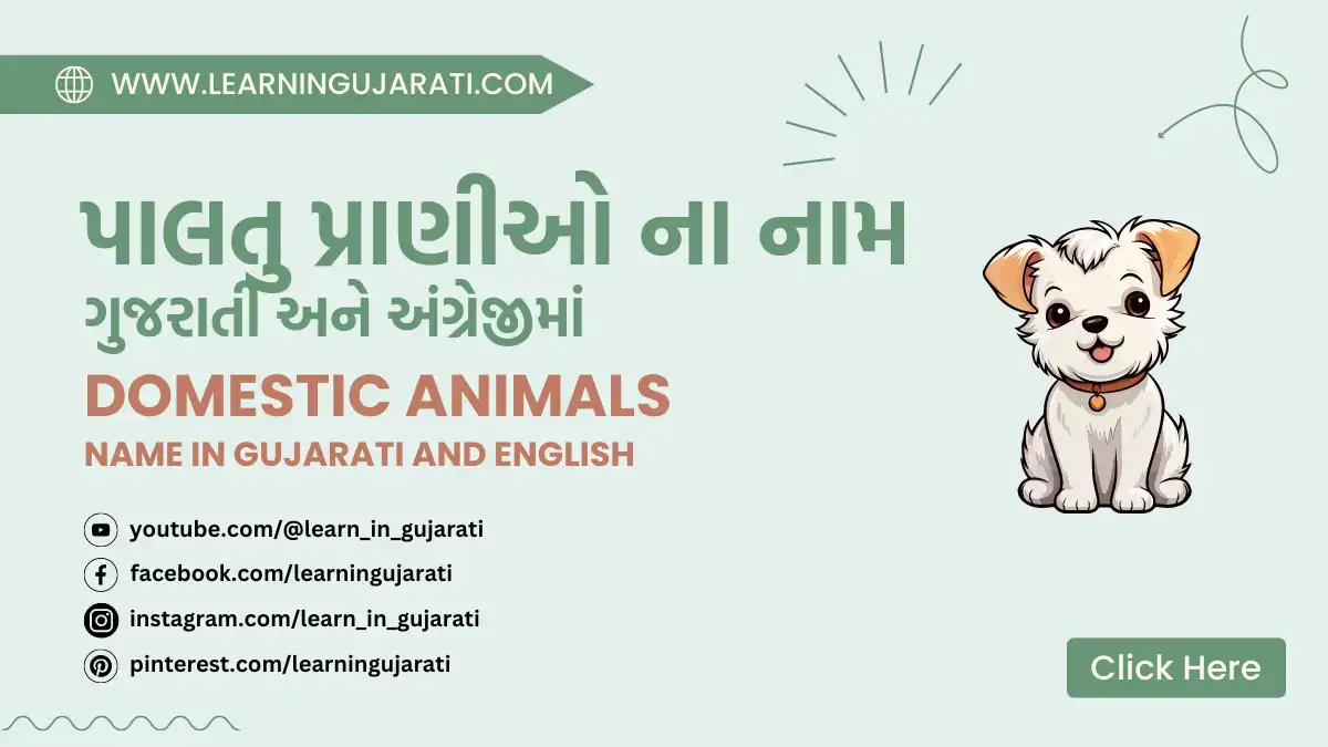 pets or domestic animals name in gujarati and english