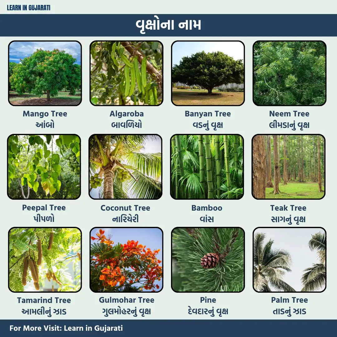 tree name in gujarati and english