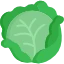 vegetables icon