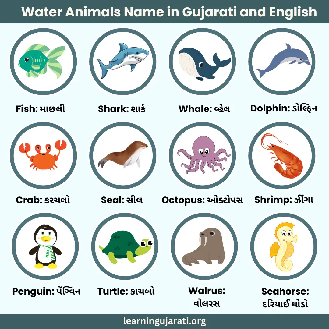 water animals name in gujarati and english