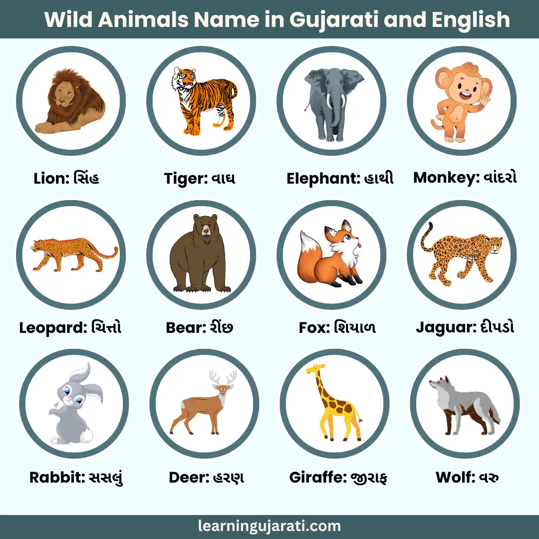 wild animals name in gujarati and english